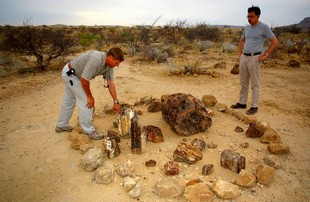 565 Namibia Okt 2006 .JPG